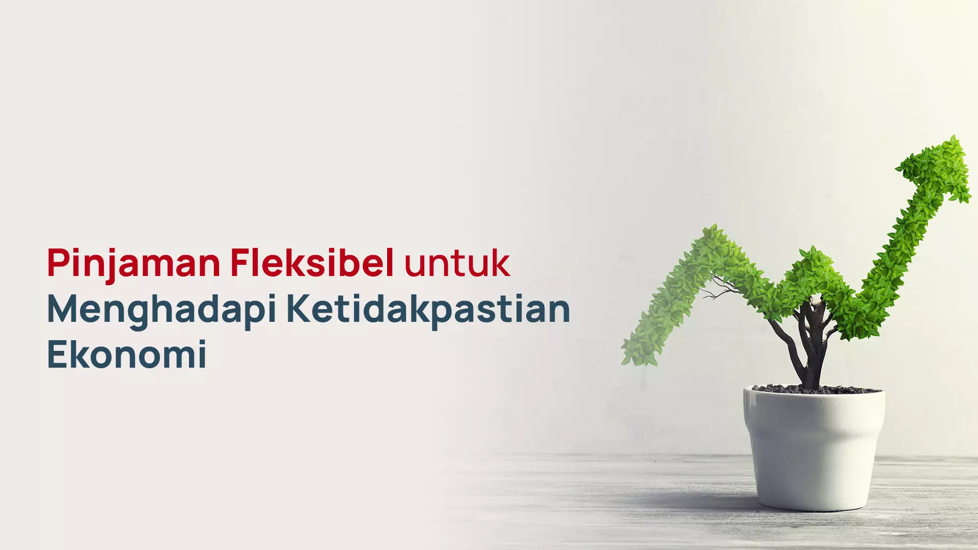 Pinjaman Fleksibel untuk Menghadapi Ketidakpastian Ekonomi